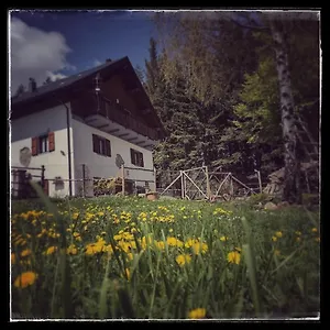 Alle Betulle Bed & Breakfast Pievepelago