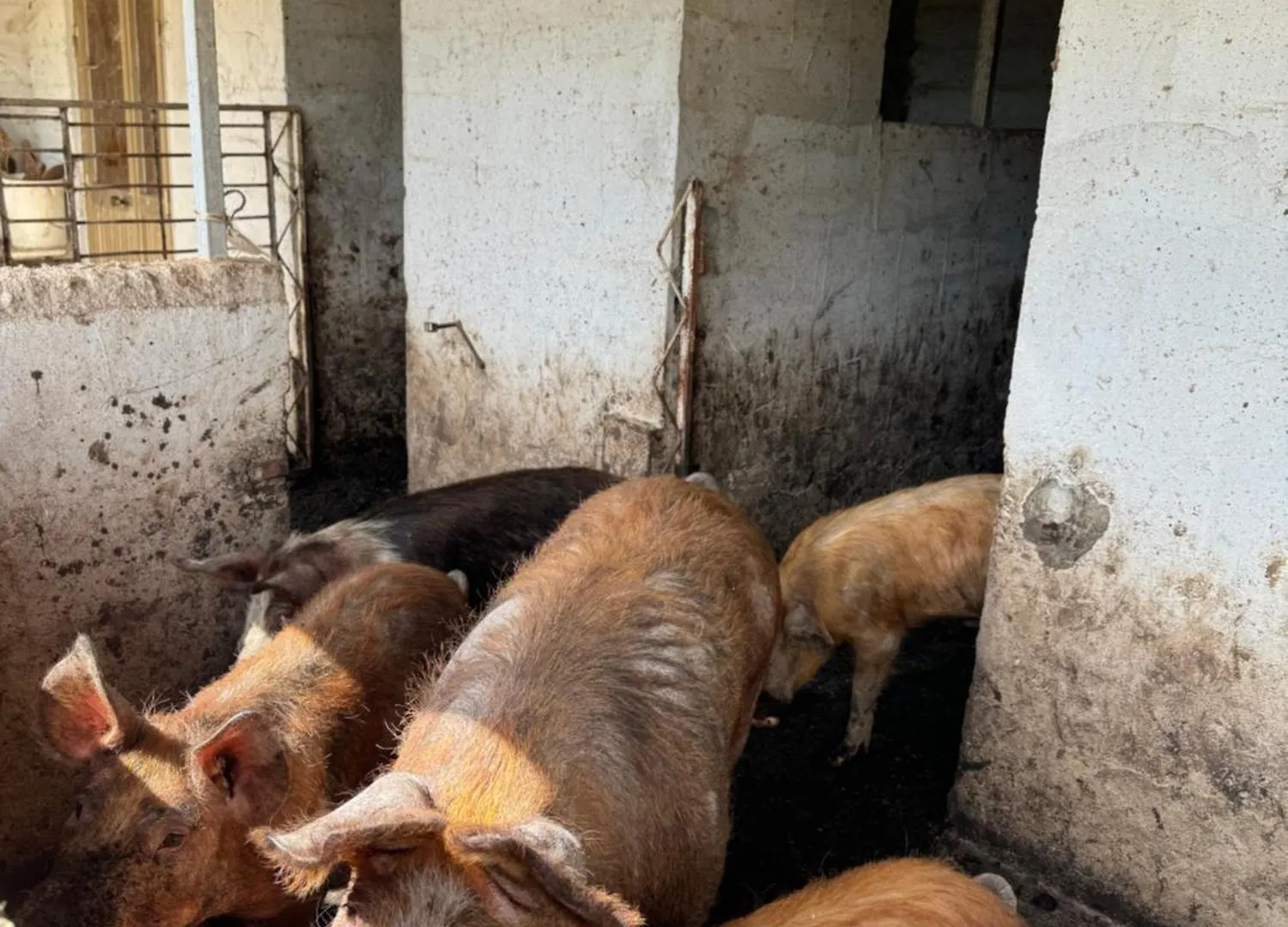 Affittacamere Hotel Iloghe Di Marras Dorgali